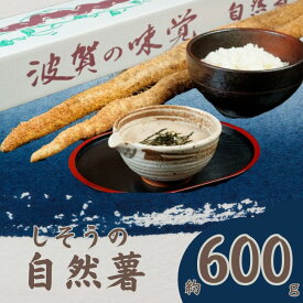 【ふるさと納税】令和7年産　先行受付　K7　しそうの自然薯12月中旬頃より順次発送（ 期間限定 数量限定 自然薯 山芋 芋 野菜 滋養強壮 じねんじょ ）