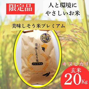 【ふるさと納税】 数量限定 キヌヒカリ 玄米 20Kg 令和7年産 新米 美味しそう米 プレミアム I11 【 限定 お米 コメ 玄米 きぬひかり 兵庫県 宍粟市 】