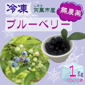 【ふるさと納税】K11 しそうの “ 冷凍 ” ブルーベリー 1kg(500g×2)【 無農薬 冷凍 フローズン アイス ブルーベリー 果物 フルーツ 産地直送 国産 大容量 】