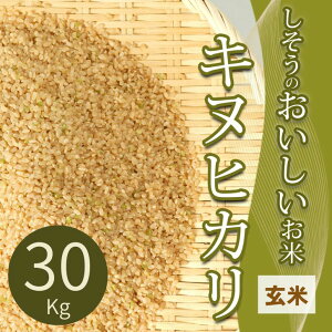 yӂ邳Ɣ[ŁzI4yߘa7NYẑ ā@LkqJ  30Kg