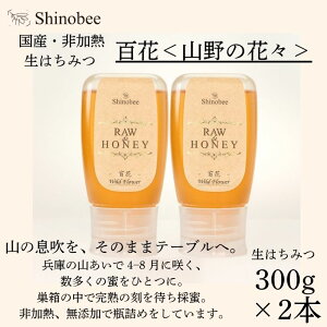 yӂ邳Ɣ[ŁzYEM ݂͂ 600gi300g×2{jSԁqR̉ԁXr AS19@y Y M I n`~c ݂͂ ݂͂ nj[ S SԖ Ɍ s z