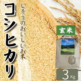 【ふるさと納税】コシヒカリ 玄米 3kg 令和7年産 しそうのおいしい お米 こしひかり 玄米 兵庫県産 宍粟市産 しそうし K9