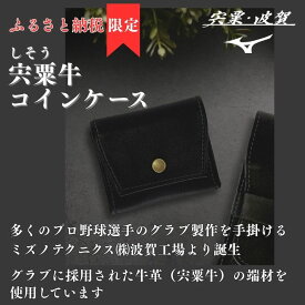 【ふるさと納税】宍粟牛 コインケース 【 財布 小銭入れ ミズノテクニクス ミズノ グラブ グローブ 宍粟牛 牛革 限定 ふるさと納税限定 シンプル 就職 祝い 贈り物 プレゼント 】AO77