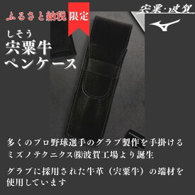 【ふるさと納税】 宍粟牛 ペンケース　【 ペン 筆入れ ミズノテクニクス ミズノ グラブ グローブ 宍粟牛 牛革 限定 ふるさと納税限定 シンプル スマート ビジネス 就職 祝い 贈り物 プレゼント 】AO78