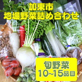 【ふるさと納税】加東市地場野菜詰め合わせ　【野菜・セット・詰合せ・やさい】