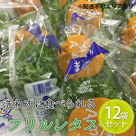 【ふるさと納税】植物工場産　洗わずに食べられるフリルレタス　12袋セット　【野菜】