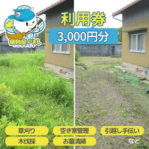 yӂ邳Ɣ[Łz֗PAL p 3,000~[  ؔ 󂫉ƊǗ 搴| z` ] `Pbg T[rX s sT[rX ƎsT[rX