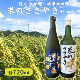 【ふるさと納税】龍力 大吟醸 ・ 純米大吟醸 米のささやき 飲み比べ セット 各720ml 本田商店 加東市特A地区産山田錦使用 [日本酒 酒 お酒 贈答品 ]　【 晩酌 家飲み 日本酒飲み比べ 日本酒セット 】