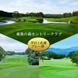 【ふるさと納税】東条の森カントリークラブ 平日 1名様 プレー券 東条の森CC [ ゴルフ 加東市 兵庫県 関西 ゴルフ場 ] ゴルフ場利用権