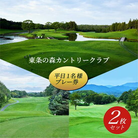 【ふるさと納税】東条の森カントリークラブ 平日 1名様 プレー券 (2枚セット) 東条の森CC [ ゴルフ 加東市 兵庫県 関西 ゴルフ場 ] ゴルフ場利用権