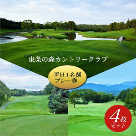 【ふるさと納税】東条の森カントリークラブ 平日 1名様 プレー券 (4枚セット) 東条の森CC [ ゴルフ 加東市 兵庫県 関西 ゴルフ場 ] ゴルフ場利用権