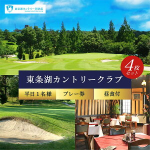 yӂ邳Ɣ[ŁzCC  1l v[ Ht (4Zbg)y1E2psz[ St s Ɍ ֐ St Stꗘp `Pbg ]