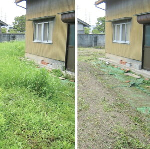 yӂ邳Ɣ[Łz֗PAL p 3,000~[  ؔ 󂫉ƊǗ 搴| z` ] `Pbg T[rX s sT[rX ƎsT[rX