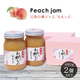 【ふるさと納税】桃ジャム「ももっ子」 480g 2本セット [桃 もも モモ ジャム トースト 朝食 フルーツソース 果物 フルーツ 手作り］ ジュレ
