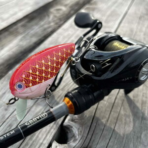 yӂ邳Ɣ[ŁzA[ u rbNobc v[ ނ ނ oXނ ubNoX tBbVO X|[c  ̂ڂ L[z_[ ]