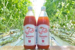 yӂ邳Ɣ[Łzg}gW[XiMORIMORIg}ggpj1000ml×2{ [؃W[X  Y N h{ Rs S S ] 