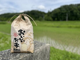 【ふるさと納税】米 令和7年産 キヌヒカリ 白米 5kg 加東市東条地区産 [ お米 こめ コメ きぬひかり 兵庫県産 ごはん 精米 ]