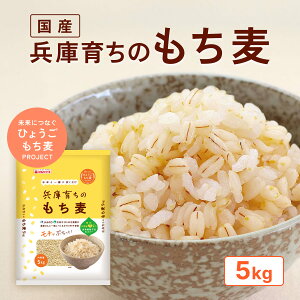 �y�ӂ邳�Ɣ[�Łz���Ɉ炿�� ������ 5kg[���Y �L�������` �H���@�� ] �G��