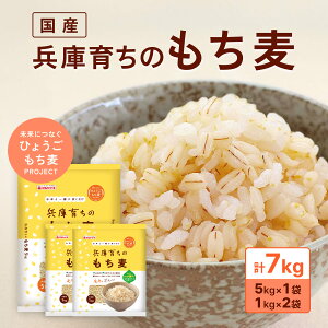 �y�ӂ邳�Ɣ[�Łz���Ɉ炿�� ������ 7kg [���Y �L�������` �H���@�� ] �G�� ���`��