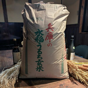 �y�ӂ邳�Ɣ[�Łz���� �ߘa7�N�Y �V�� �A�N�g�� �q�m�q�J�� ���� 30kg [ �� ���� �R�� ]