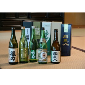 【ふるさと納税】兵−2　兵庫五国！個性派揃い純米酒セット（720ml×5本） 【日本酒】