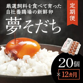 【ふるさと納税】S-8【12カ月定期便】お届け日時の指定必須「夢そだち20個」厳選飼料を食べて育った自社養鶏場の新鮮卵を♪