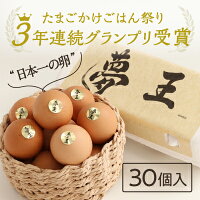 【ふるさと納税】H-159【TVで話題】日本一に選ばれた高級卵「夢王(30...