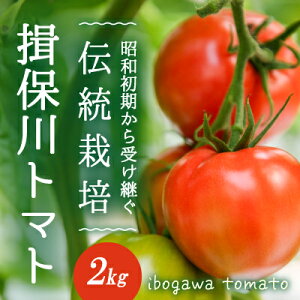 yӂ邳Ɣ[ŁzH-14@ya󂯌p`͔|z_ƊẪ݂oX悢uKېg}gv2kgyF12`6z