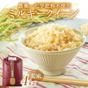 【ふるさと納税】U-10【農薬・化学肥料不使用】清流揖保川の水と自然が育んだ「ミルキークイーン(4kg)」