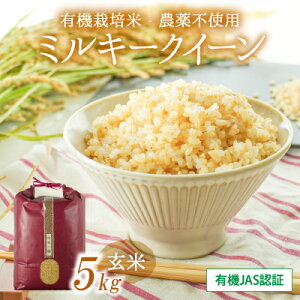 yӂ邳Ɣ[ŁzT-1yL@JASF؁zKې̐ƎR񂾁uL@͔|āE_sgp~L[NC[(5kg)v