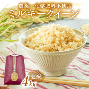 yӂ邳Ɣ[ŁzU-10y_Ew엿sgpzKې̐ƎR񂾁u~L[NC[(4kg)v