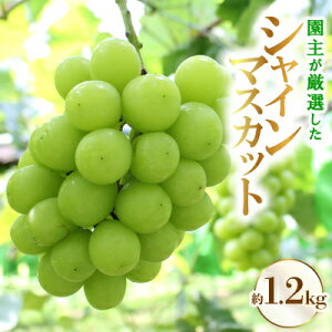 yӂ邳Ɣ[Łz傪IuVC}XJbgvyzsnFEkCEꌧzy1482866z