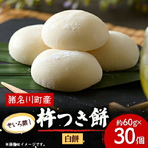 yӂ邳Ɣ[Łzӂn()@60g×30yzsnFzy1497775z