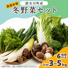 【ふるさと納税】猪名川町産・おまかせ「冬野菜セット」合計約3～5kg(6種類以上)【配送不可地域：離島】【1497822】