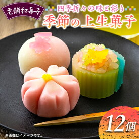 【ふるさと納税】季節の上生菓子12個セット【配送不可地域：離島】【1500932】