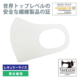 【ふるさと納税】452 洗えるマスク レギュラーサイズ 40枚セット