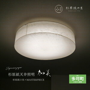 yӂ邳Ɣ[ŁzꂽƖ LEDV[OCg cl-30 IׂfUC _ 