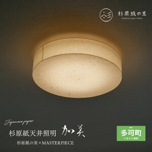 【ふるさと納税】杉原紙から作られた照明 LEDシーリングライト cl-30 選べるデザイン 雲竜 ちり入り