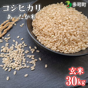 yӂ邳Ɣ[Łz肽̂āyāzRVqJ30kg [1296]