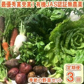 【ふるさと納税】【最優秀賞受賞！甘味＆栄養】有機JAS認証の無農薬、チヨちゃんの野菜3ヶ月定期[942]