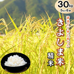 yӂ邳Ɣ[Łz 悵ܕāyāz5kg×6[821]  Y