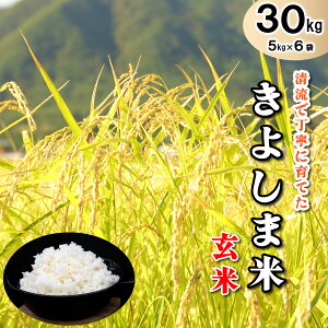 yӂ邳Ɣ[Łz 悵ܕāyāz5kg×6[825]  Y
