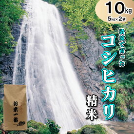 【ふるさと納税】米 多可町加美区の清流で育ったコシヒカリ【精米】5kg×2袋[829] 米 白米 単一原料米 国産