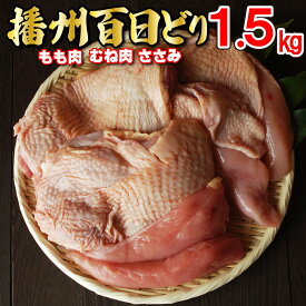 【ふるさと納税】多可の播州百日どり正肉セット[008] 鶏肉 もも肉 むね肉 ささみ 冷蔵 1.5kg 播州百日どり