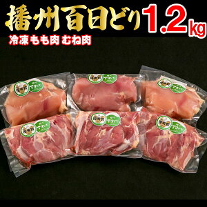 yӂ邳Ɣ[ŁzdBSǂ { Ⓚ   ނ˓ Zbg 1.2kg [668]