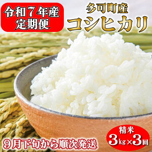 yӂ邳Ɣ[Łzyցzߘa7NY  3kg×3 RVqJ  ɌY [1237]