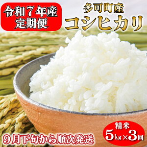 yӂ邳Ɣ[Łzyցzߘa7NY  5kg×3 RVqJ  ɌY [1238]