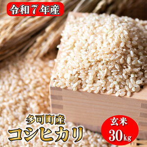 yӂ邳Ɣ[Łz  RVqJ ɌY 5kg 10kg 30kg