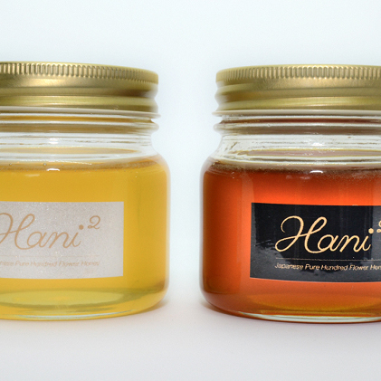 兵庫県稲美町 ふるさと納税 Hani2の蜜源植物の栽培からこだわった蜂蜜2本入り はちみつ 送料無料 新生活 加工品 ハチミツ