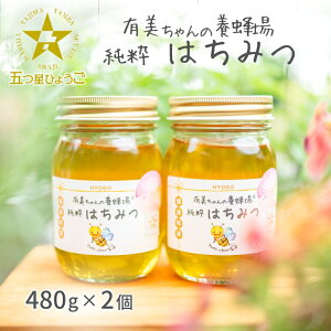 【ふるさと納税】はちみつ 五つ星ひょうご認定商品 有美ちゃんの養蜂場の純粋はちみつ 480g 2個 セット ハチミツ 蜂蜜 非加熱 生はちみつ 国産 セット ハニー 加工品